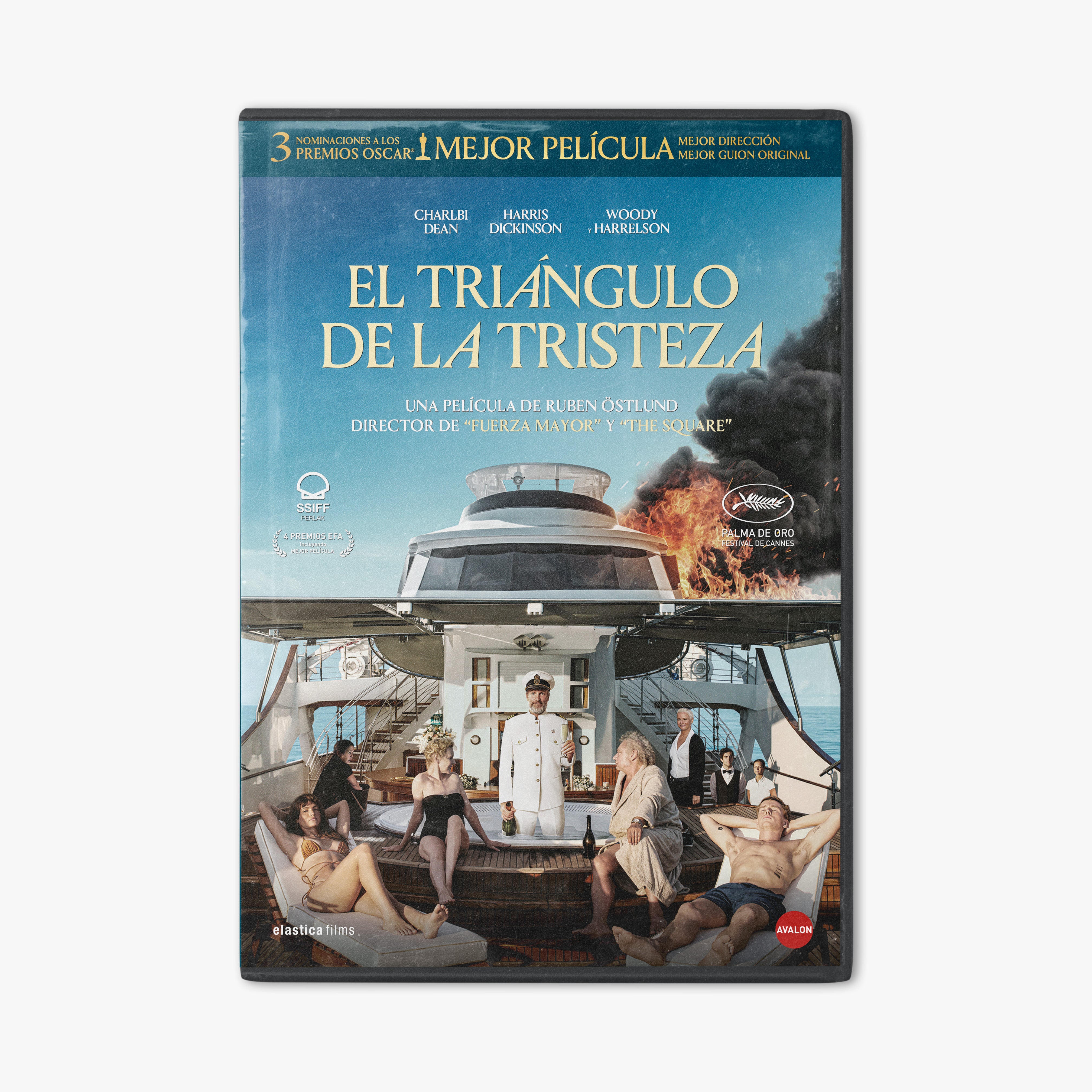 El triángulo de la tristeza, DVD